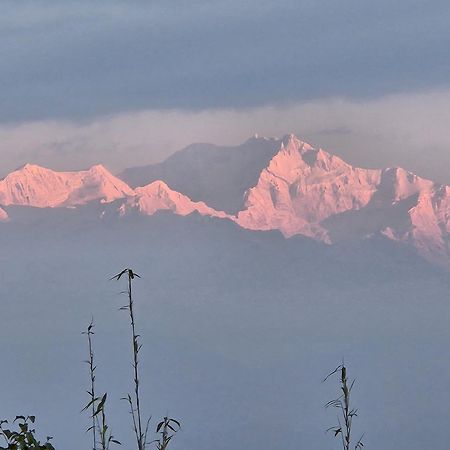 Lama Homestay Darjeeling  Bagian luar foto