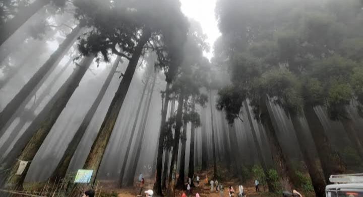 Lama Homestay Darjeeling  Bagian luar foto